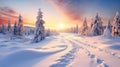 Sunset on the background of winter landscape. Trail in the snow and shining sun, drifts of snow, Christmas trees