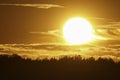 Sunset backlit on a grain wheat or barley field. Amazing sunset, dramatic scenic landscape.