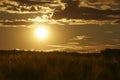 Sunset backlit on a grain wheat or barley field. Amazing sunset, dramatic scenic landscape.