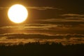 Sunset backlit on a grain wheat or barley field. Amazing sunset, dramatic scenic landscape.