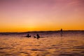 Sunset in Bali and surfers waiting for wave in ocean