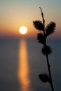 Sunset at the Baltic sea with beautiful soft light at goldenhour