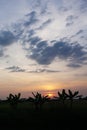 Sunset with the banana trees and rice field 3 Royalty Free Stock Photo