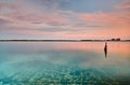 Sunset on the bank of a river