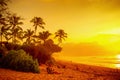 Sunset at Banzai Pipeline Beach Royalty Free Stock Photo