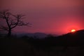 Sunset and Baobab Silhouette in Serra da Chela, Angola Royalty Free Stock Photo