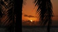 Sunset on beach Anse Takamaka, Mahe island, Seychelles with sun disappearing in clouds on horizon and palm silhouette. Royalty Free Stock Photo