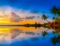 Sunset at the beach with coconut palm tree on blue sky background. Royalty Free Stock Photo