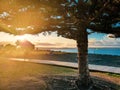 Sunset on the Beach in a cold and shine day in New Zealand Napier