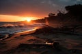 a sunset on a beach with driftwood on the sand Royalty Free Stock Photo