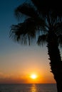 Sunset beach, evening sea, palm trees Royalty Free Stock Photo