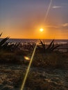 sunset on the beach, italy torvaianica . Seasundullrisesunset.