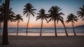 sunset at the beach ocean sea though palm trees in the sand