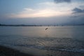 Sunset on the beach over the sea and horizon in marina with ships and boats. Summer background. Seagull flying	 over the sea Royalty Free Stock Photo