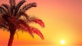 Sunset on the beach. Palm leaves. Palm trees at tropical coast, coconut tree summer vacation concept Royalty Free Stock Photo