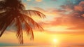 Sunset on the beach. Palm leaves. Palm trees at tropical coast, coconut tree summer vacation concept Royalty Free Stock Photo