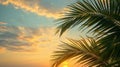 Sunset on the beach. Palm leaves. Palm trees at tropical coast, coconut tree summer vacation concept Royalty Free Stock Photo