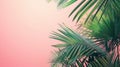 Sunset on the beach. Palm leaves. Palm trees at tropical coast, coconut tree summer vacation concept Royalty Free Stock Photo