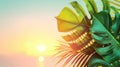 Sunset on the beach. Palm leaves. Palm trees at tropical coast, coconut tree summer vacation concept Royalty Free Stock Photo