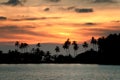 Sunset beach with palm trees