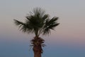 Sunset Beach with palm trees and beautiful sky landscape. Travel, Tourism, vacation concept background. Mexico. Paradise scene of Royalty Free Stock Photo