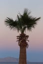 Sunset Beach with palm trees and beautiful sky landscape. Travel, Tourism, vacation concept background. Mexico. Paradise scene of Royalty Free Stock Photo