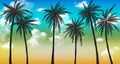 Sunset Beach with palm trees and beautiful sky landscape. Travel, Tourism, vacation concept background. Mexico. Paradise scene of Royalty Free Stock Photo