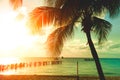 Sunset beach with palm trees and beautiful sky Royalty Free Stock Photo