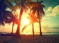 Sunset beach with palm trees and beautiful sky Royalty Free Stock Photo