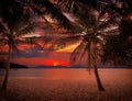 Sunset Beach with palm trees and beautiful sky. Royalty Free Stock Photo