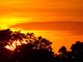 sunset on the beach with palms Royalty Free Stock Photo