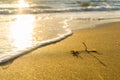 Sunset beach at phuquoc island, vietnam Royalty Free Stock Photo