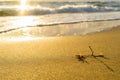 Sunset beach at phuquoc island, vietnam Royalty Free Stock Photo