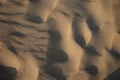 Sunset on the beach. Shadows on sand texture.