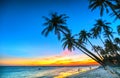 Sunset on the beach with silhouette couple, tilted coconut trees, Royalty Free Stock Photo