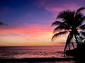 Sunset on the beach, silhouette of palm tree in ocean. Royalty Free Stock Photo