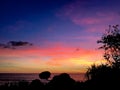 Sunset on the beach, silhouette of palm tree in ocean. Royalty Free Stock Photo