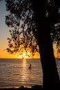 Sunset by the beach with silhouettes of paddle boarders in the distance