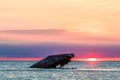 Sunset Beach and the sunken SS Atlantic at sunset in early spring with warm vivid light - Cape May Point NJ Royalty Free Stock Photo