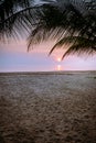 Sunset beach Thailand Chumphon area with palm trees Royalty Free Stock Photo