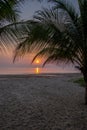 Sunset beach Thailand Chumphon area with palm trees Royalty Free Stock Photo