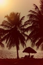 Sunset on the beach with tiki hut and palm trees