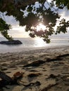 Sunset, beach,tree, rock, sand view Royalty Free Stock Photo