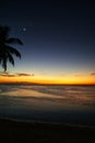 Sunset at the beach under a palm tree