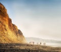 Sunset Beach Walk, San Diego, California Royalty Free Stock Photo