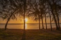 Sunset on the beach of wolmar in the west of the island of mauritius. Royalty Free Stock Photo