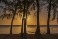 Sunset on the beach of wolmar in the west of the island of mauritius. Royalty Free Stock Photo