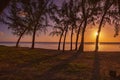 Sunset on the beach of wolmar in the west of the island of mauritius. Royalty Free Stock Photo