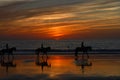 Sunset on the beaches of the Atlantic. Royalty Free Stock Photo