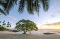 Sunset on beautiful empty tropical beach with deckchair and palm Royalty Free Stock Photo